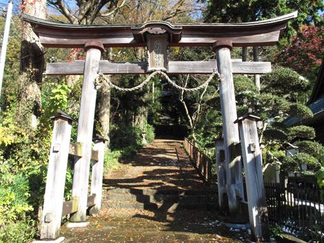 20161125hike (12)